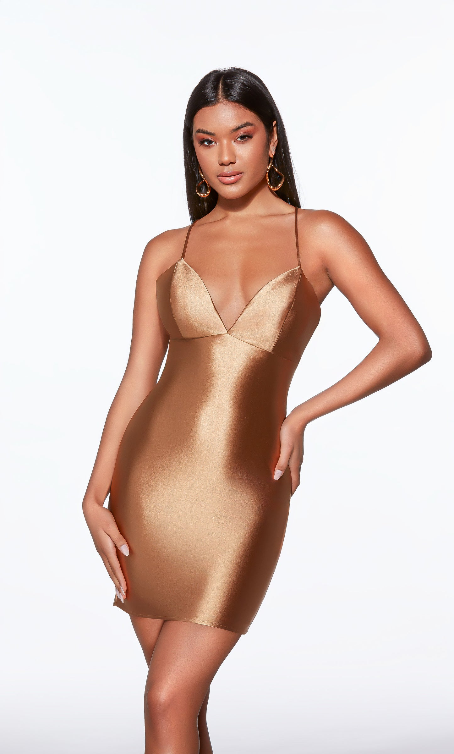 40123 - Alyce Paris Dress