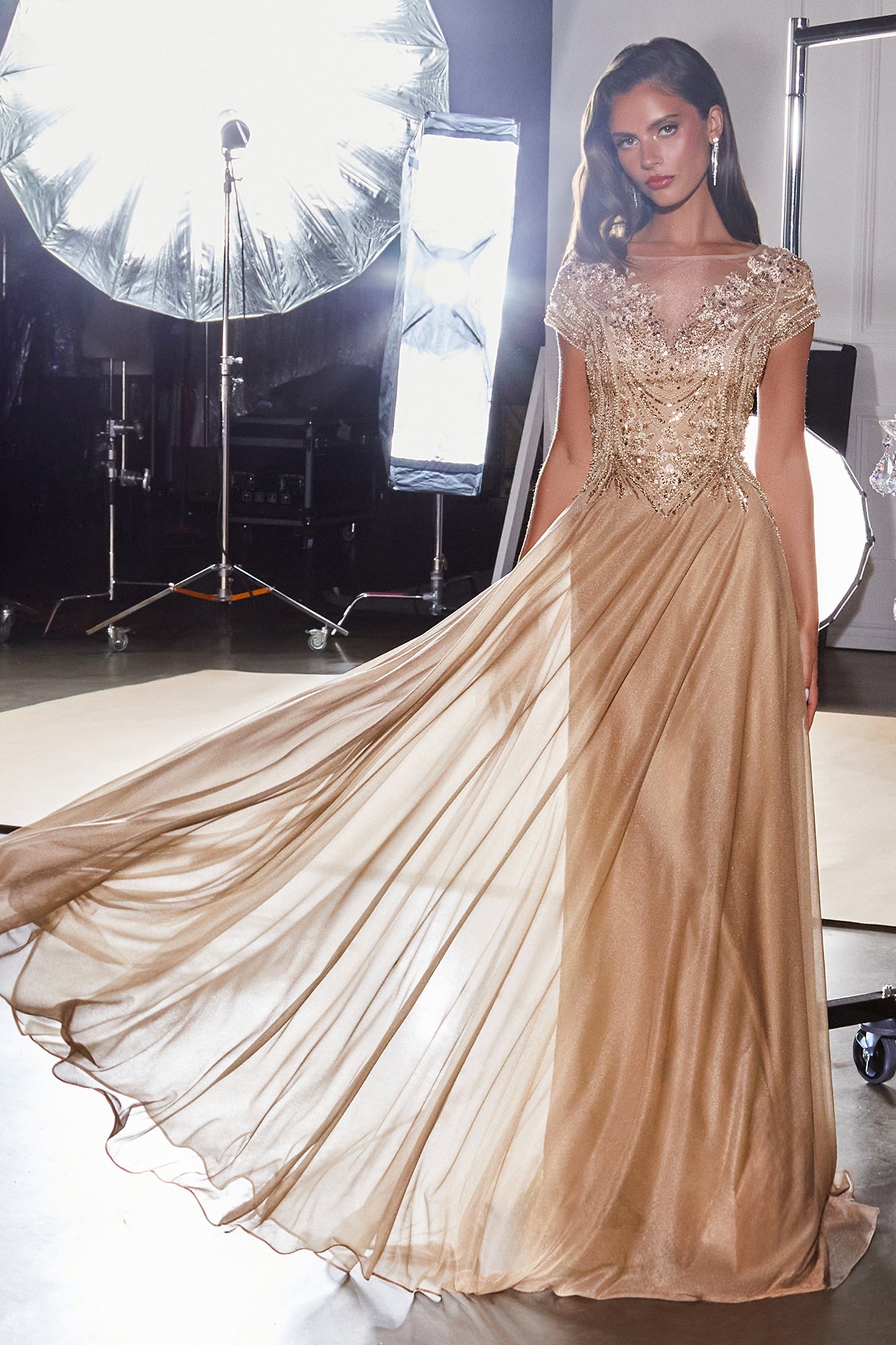 CL11 - Ladivine By Cinderella Divine Dress