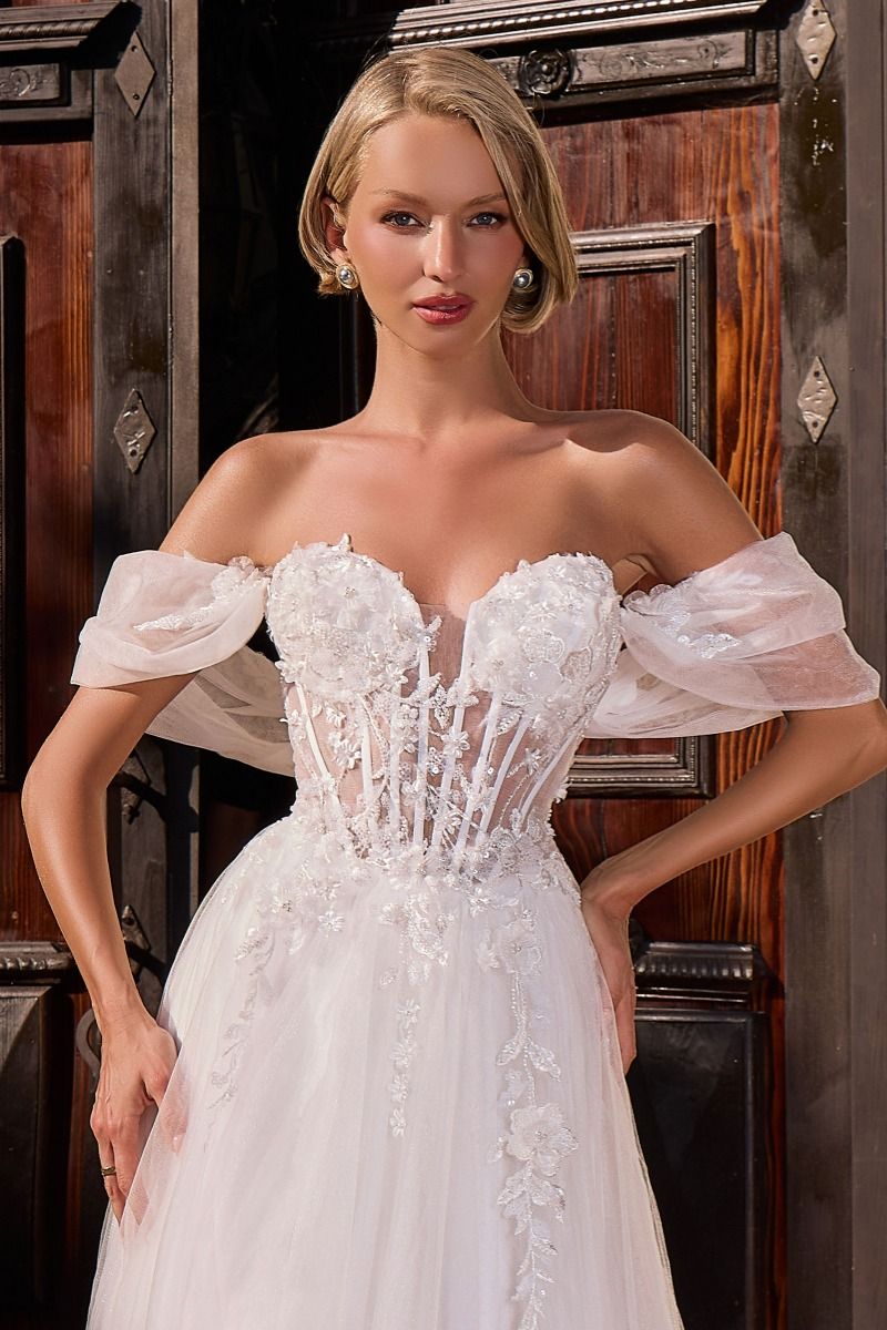 CD2426W - Ladivine By Cinderella Divine Dress