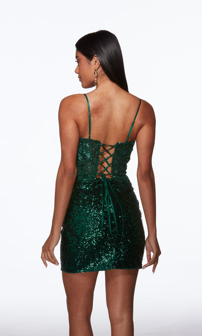 40034 - Alyce Paris Dress