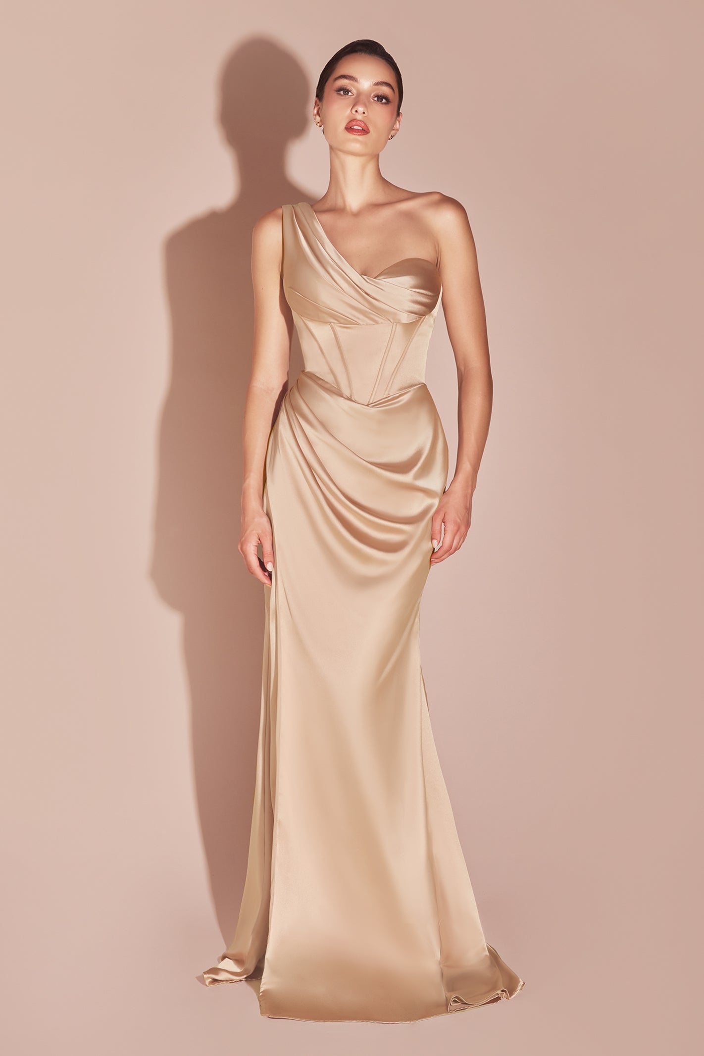7448 - Ladivine By Cinderella Divine Dress
