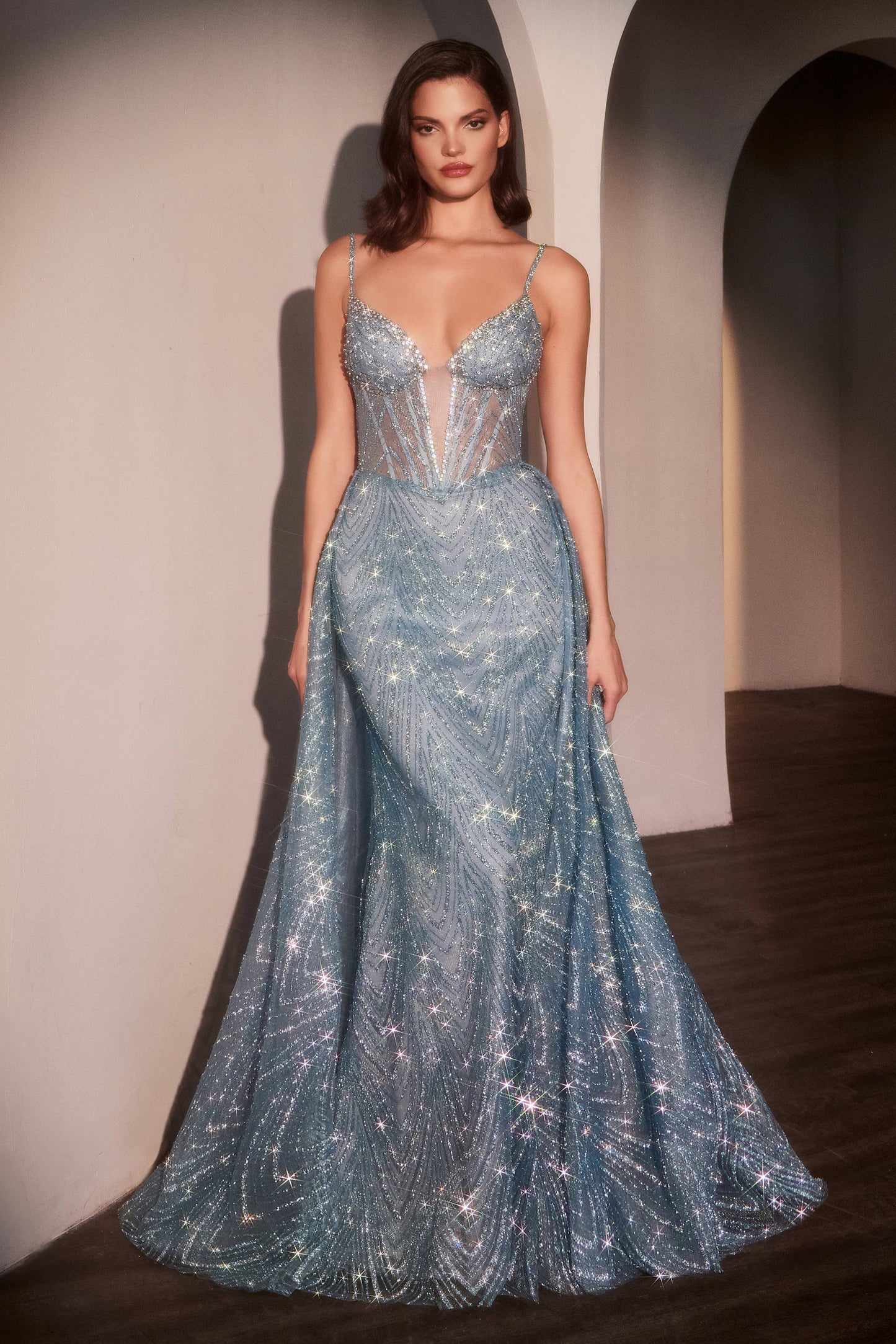 C167 - Ladivine By Cinderella Divine Dress