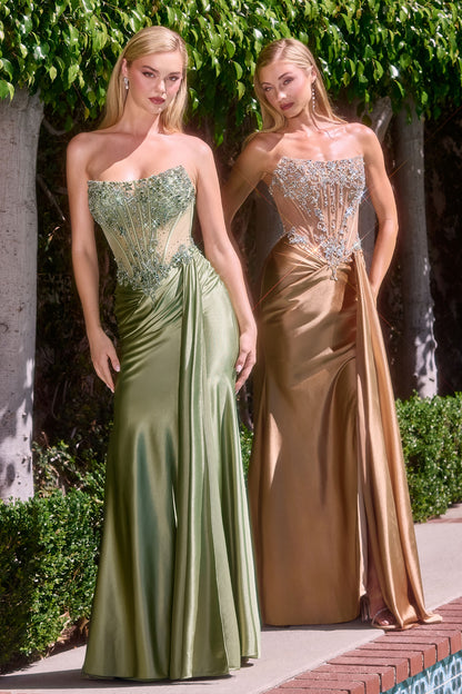 C169 - Ladivine By Cinderella Divine Dress