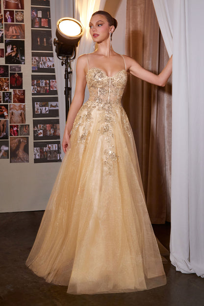C177 - Ladivine By Cinderella Divine Dress