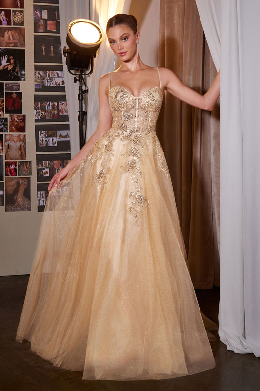 C177 - Ladivine By Cinderella Divine Dress
