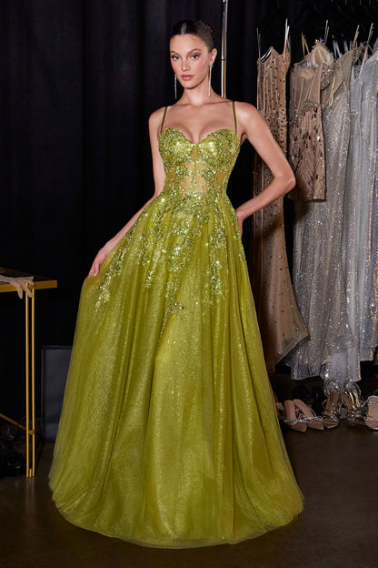 C177 - Ladivine By Cinderella Divine Dress