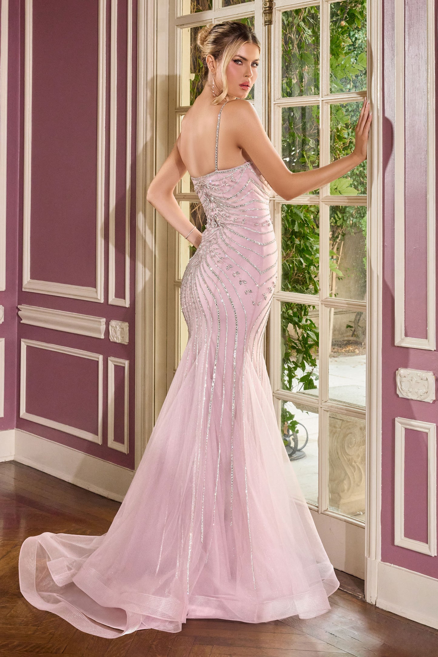 CB167 - Ladivine By Cinderella Divine Dress