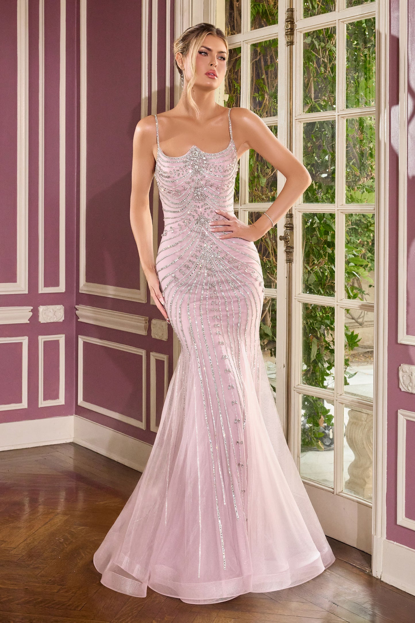 CB167 - Ladivine By Cinderella Divine Dress