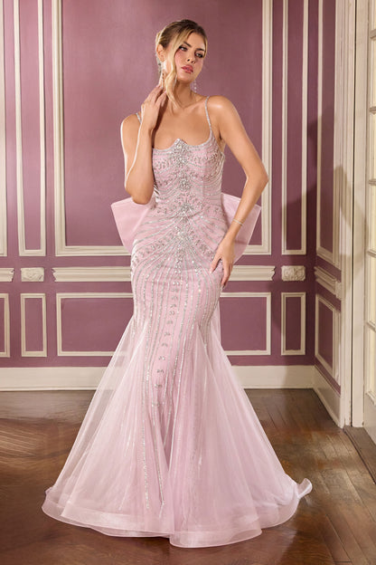 CB167 - Ladivine By Cinderella Divine Dress