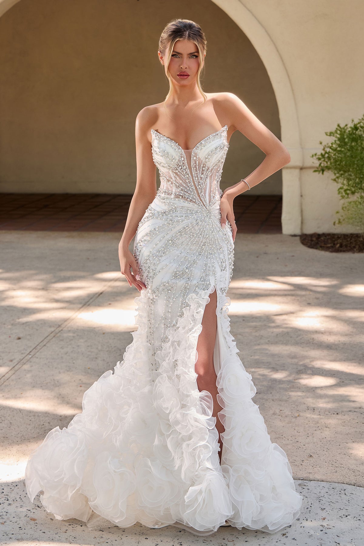CC2488W - Ladivine By Cinderella Divine Dress