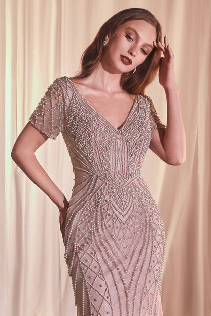 CC4019 - Ladivine By Cinderella Divine Dress