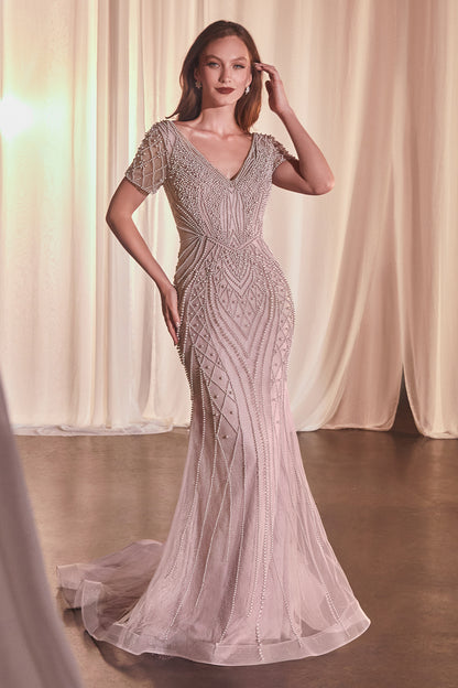 CC4019 - Ladivine By Cinderella Divine Dress