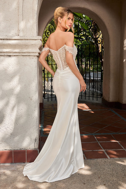 CC456W - Ladivine By Cinderella Divine Dress