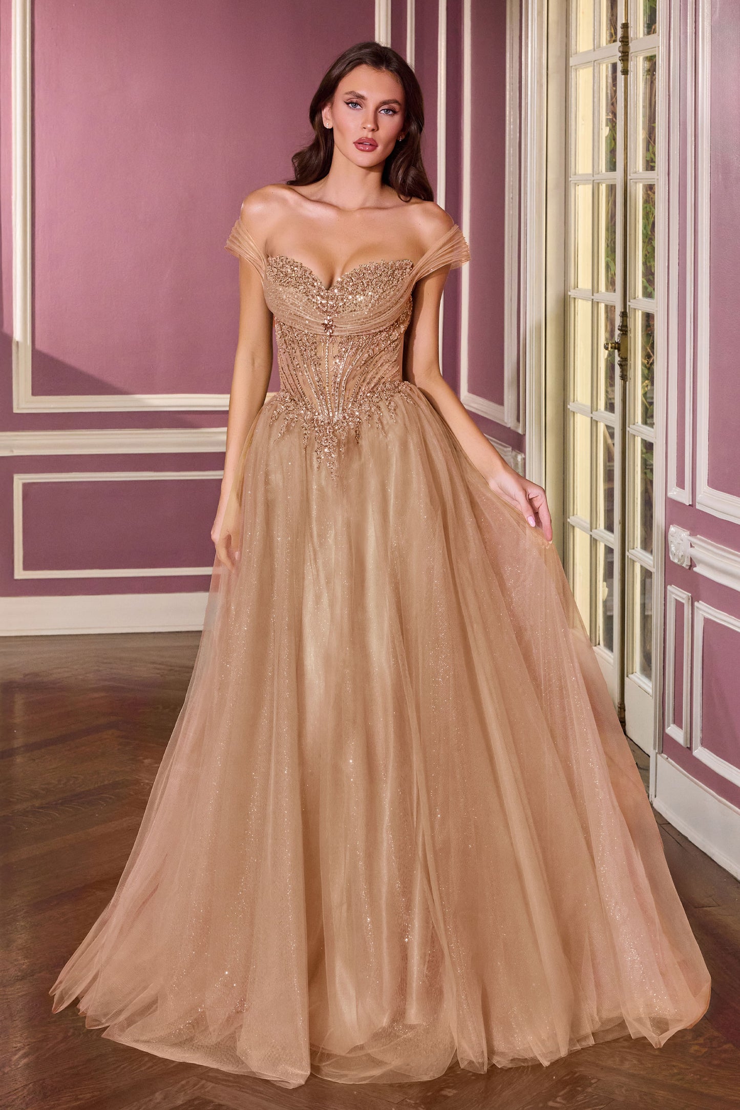 CC493 - Ladivine By Cinderella Divine Dress