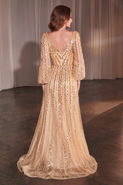 CD0240 - Ladivine By Cinderella Divine Dress
