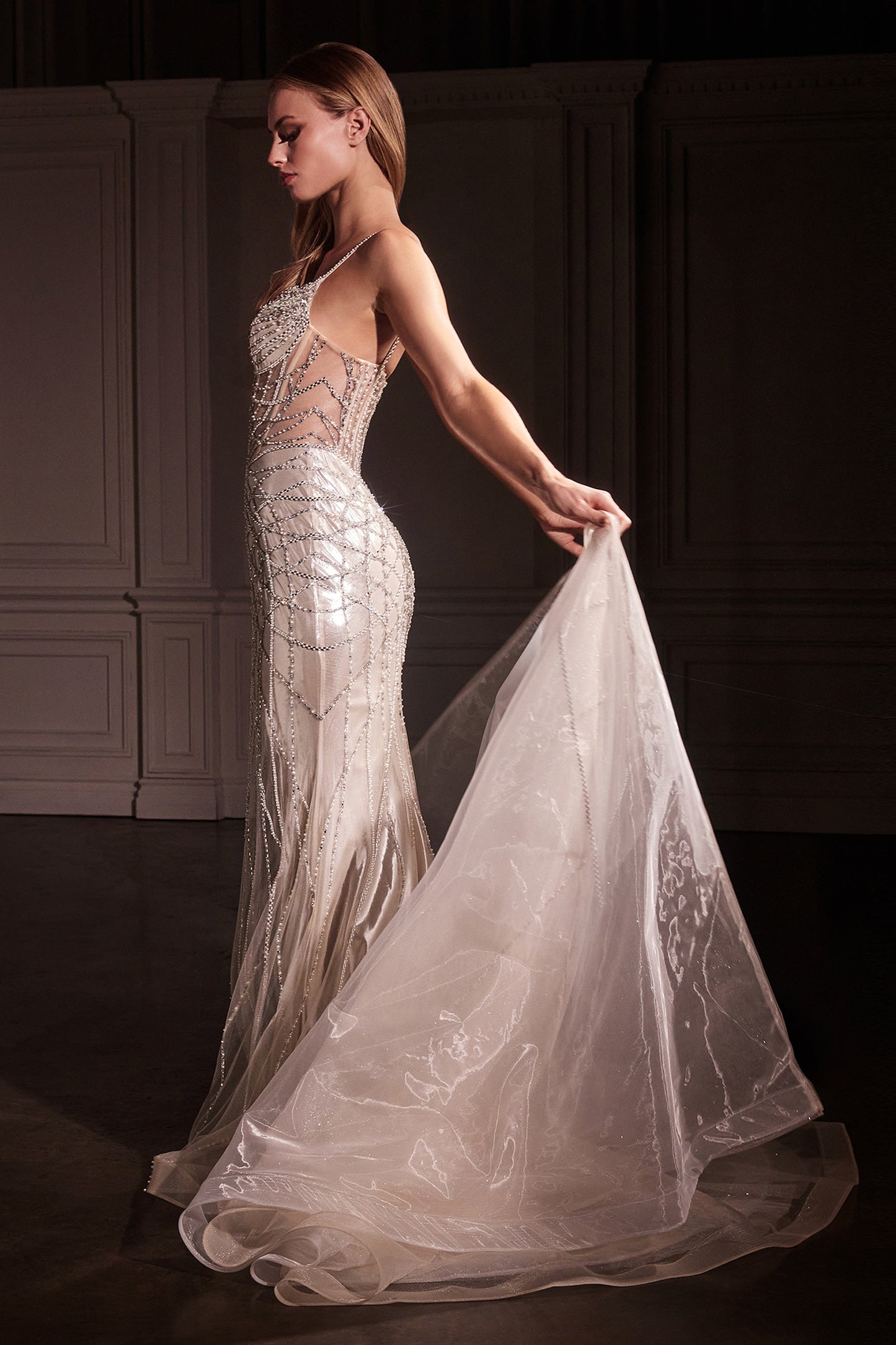 CD763 - Ladivine By Cinderella Divine Dress