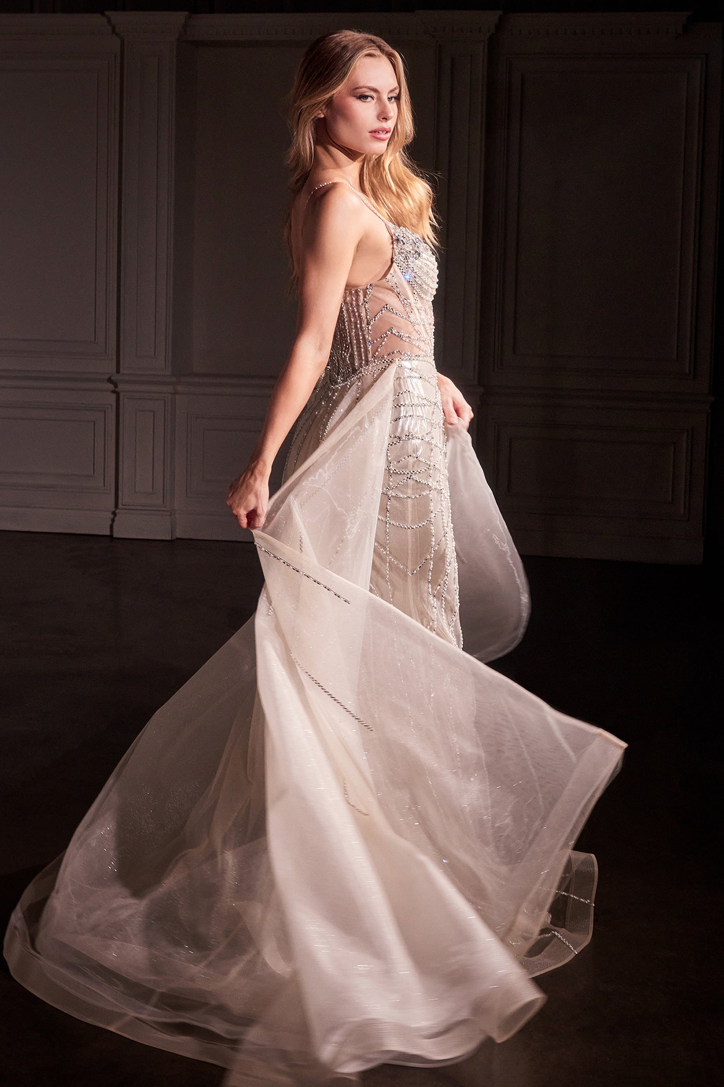 CD763 - Ladivine By Cinderella Divine Dress