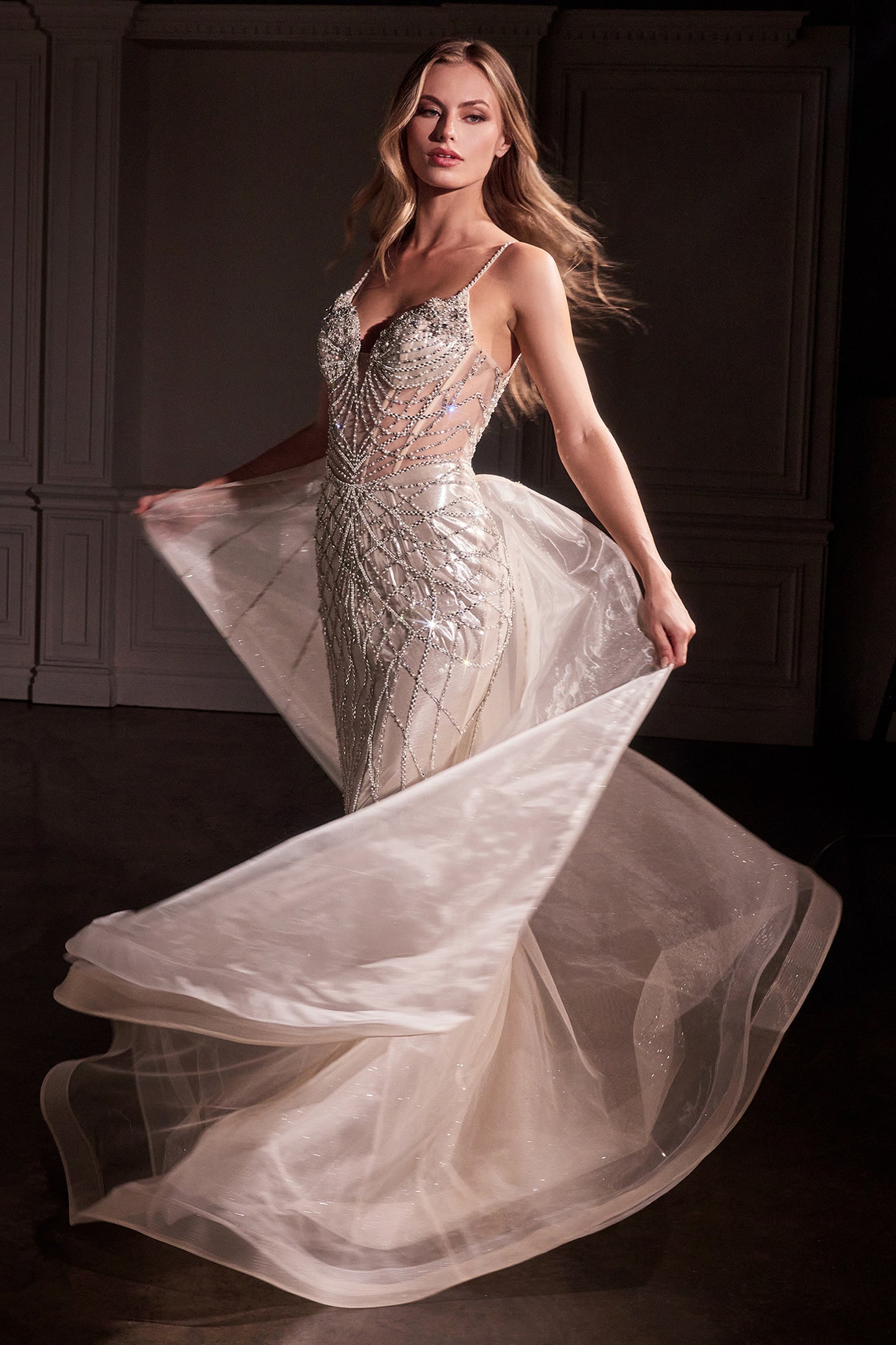 CD763 - Ladivine By Cinderella Divine Dress
