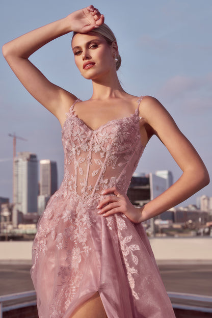CDS533 - Ladivine By Cinderella Divine Dress