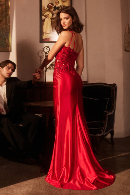 CDS535 - Ladivine By Cinderella Divine Dress