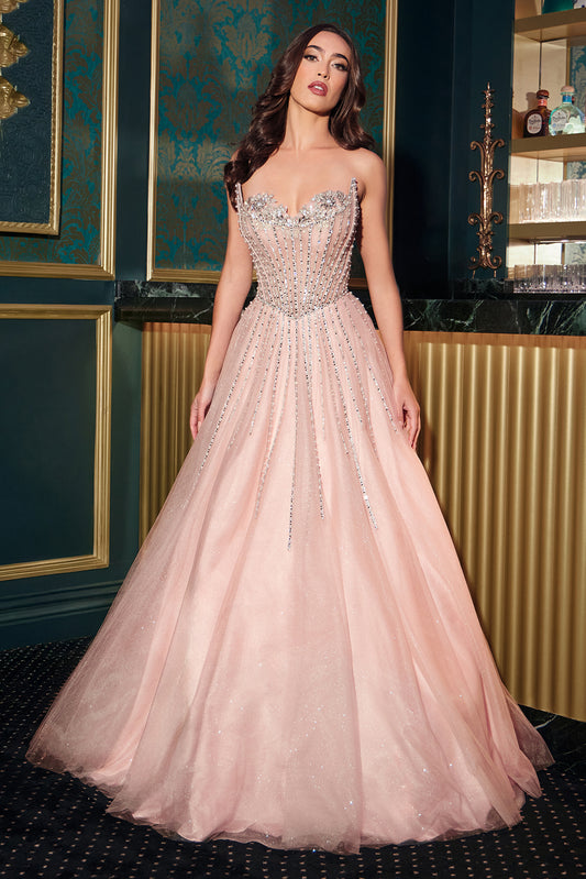 CDS541 - Ladivine By Cinderella Divine Dress