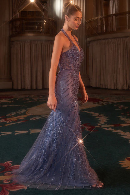 CDS547 - Ladivine By Cinderella Divine Dress