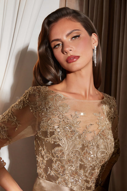 CDS569 - Ladivine By Cinderella Divine Dress