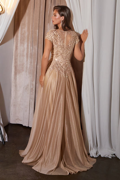 CL11 - Ladivine By Cinderella Divine Dress