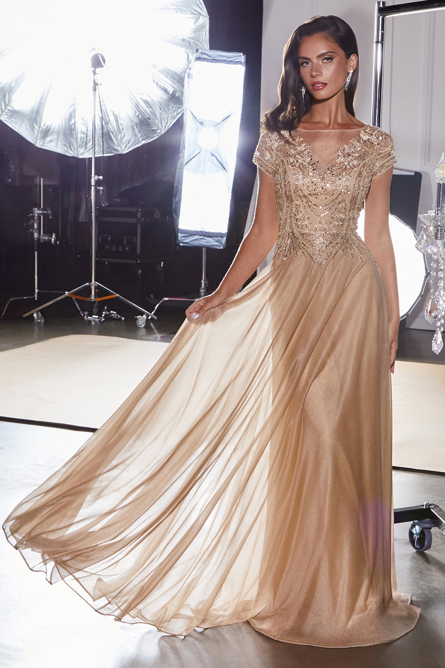 CL11 - Ladivine By Cinderella Divine Dress