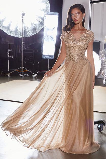 CL11 - Ladivine By Cinderella Divine Dress