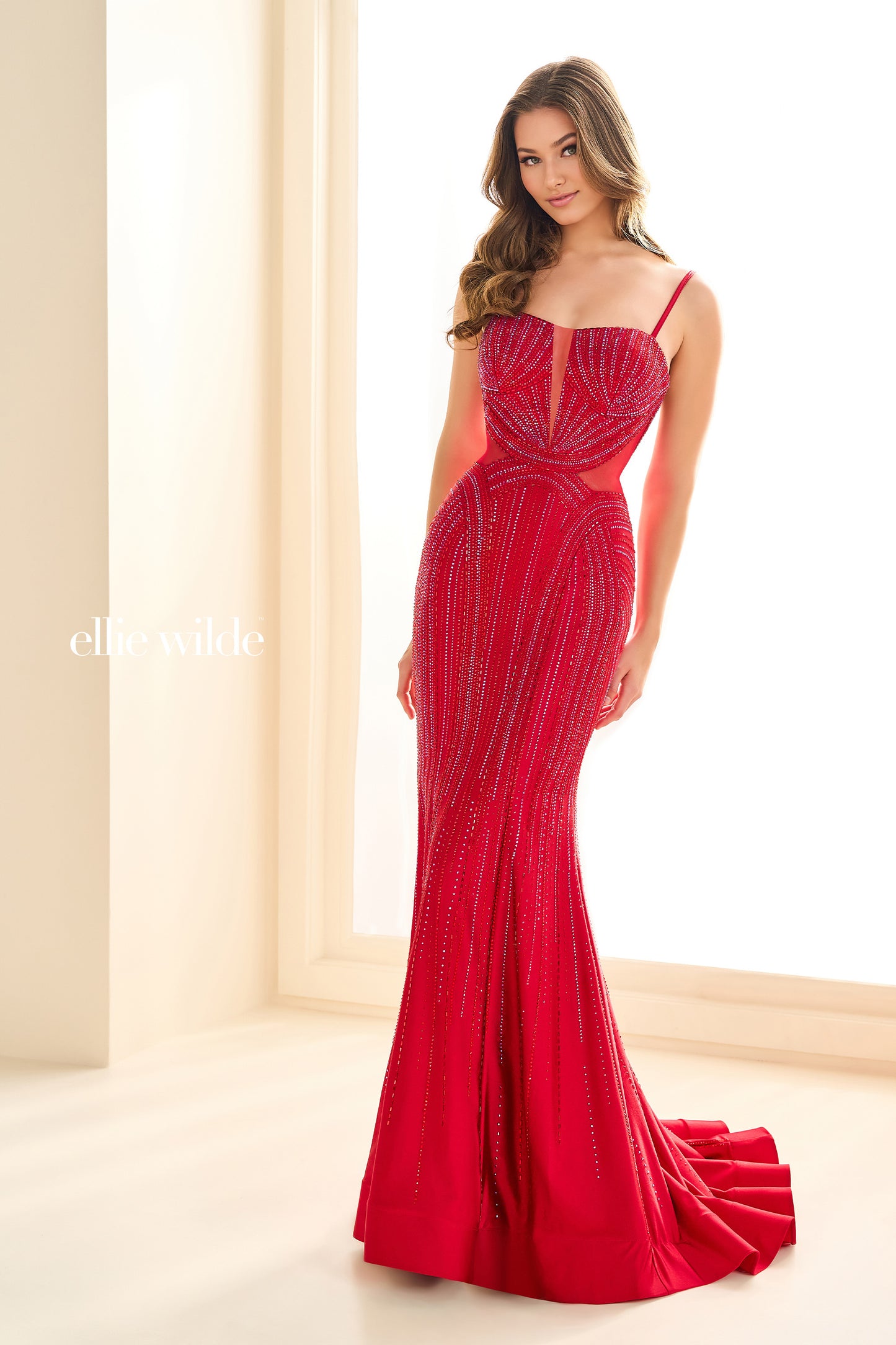 EW36013 - Ellie Wilde Dress