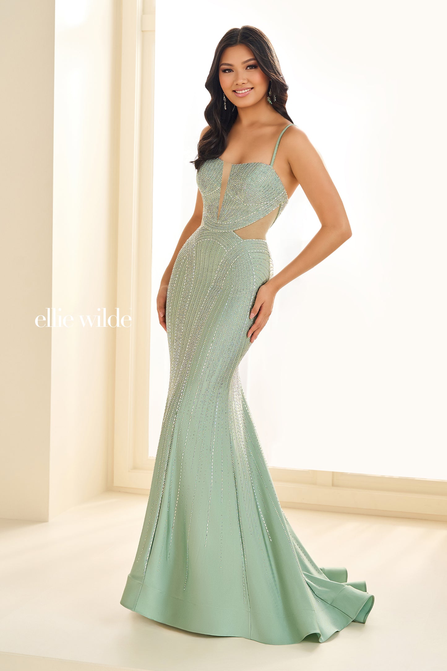 EW36013 - Ellie Wilde Dress
