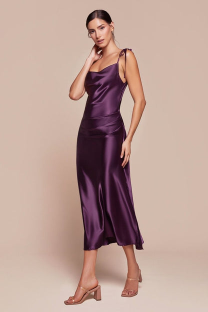 BD103 - Ladivine By Cinderella Divine Dress