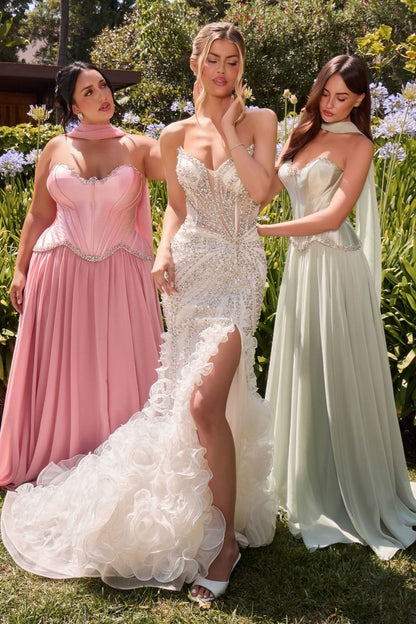 CC2488W - Ladivine By Cinderella Divine Dress