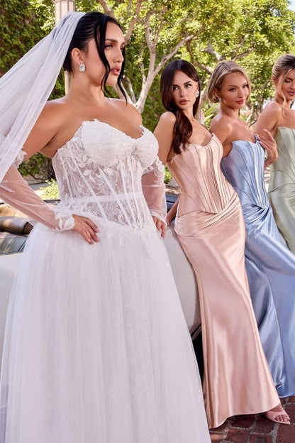 CH2602 - Ladivine By Cinderella Divine Dress