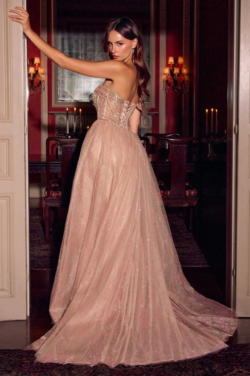CC506 - Ladivine By Cinderella Divine Dress
