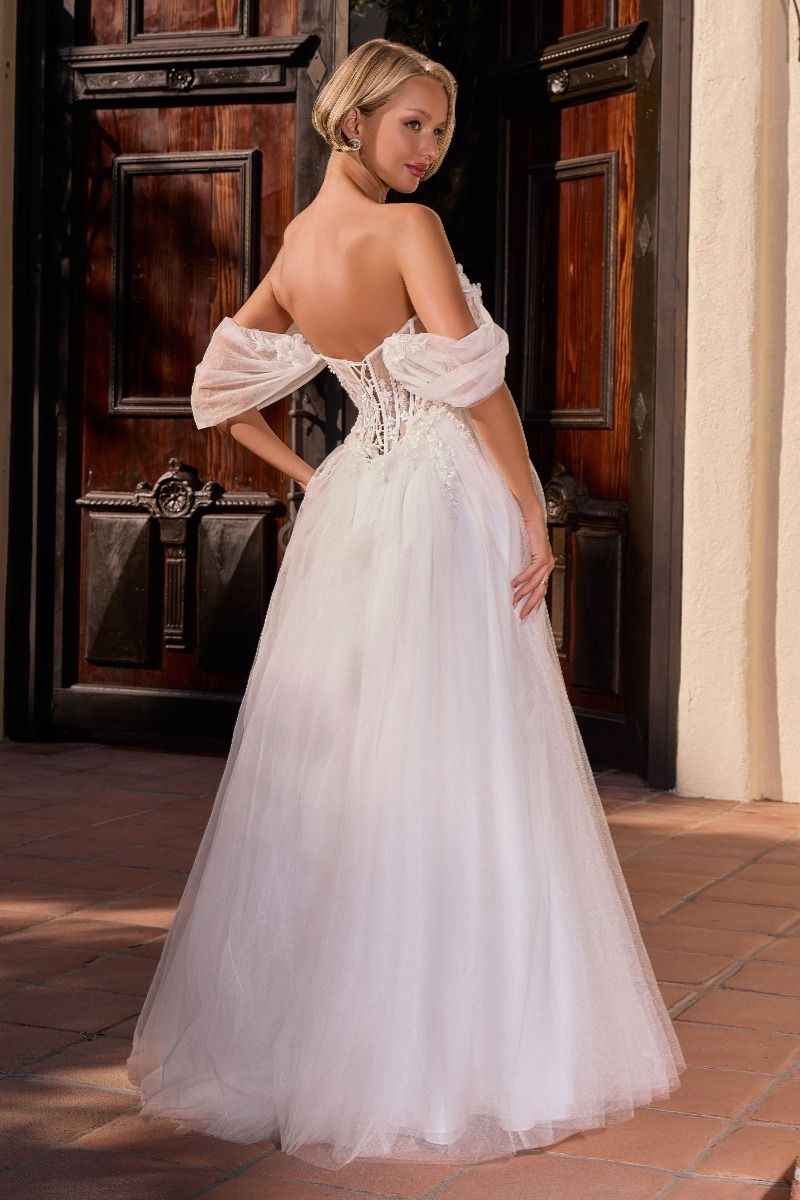 CD2426W - Ladivine By Cinderella Divine Dress