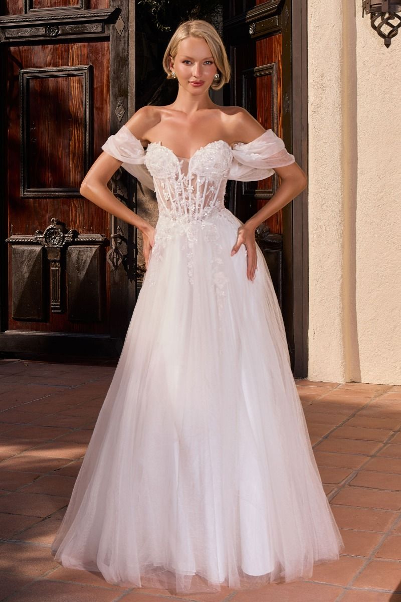 CD2426W - Ladivine By Cinderella Divine Dress