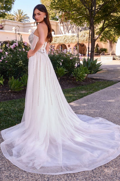 CD643W - Ladivine By Cinderella Divine Dress