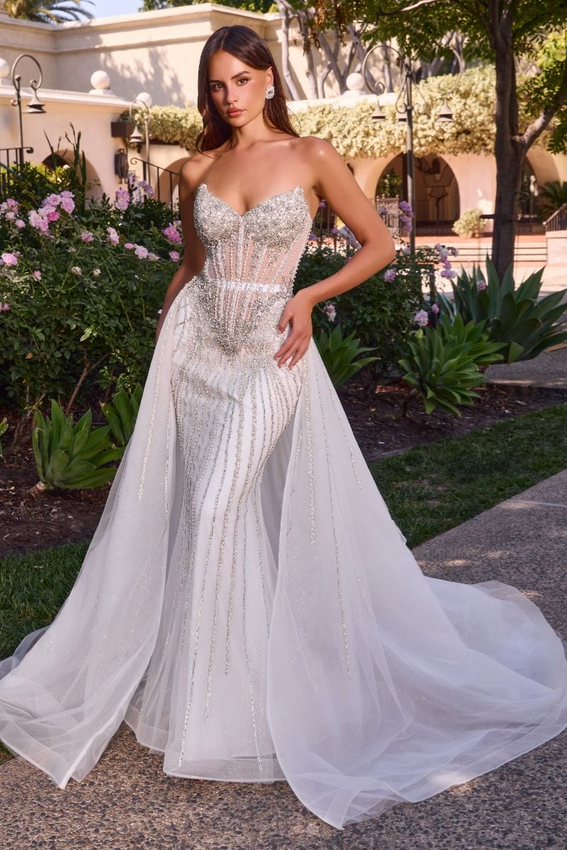 CD643W - Ladivine By Cinderella Divine Dress