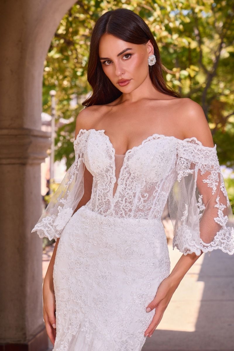 CD659W - Ladivine By Cinderella Divine Dress