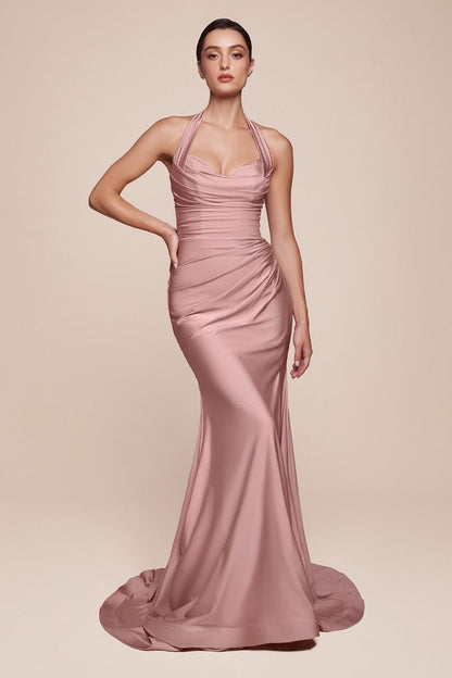 CD796 - Ladivine By Cinderella Divine Dress