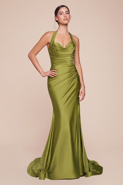 CD796 - Ladivine By Cinderella Divine Dress