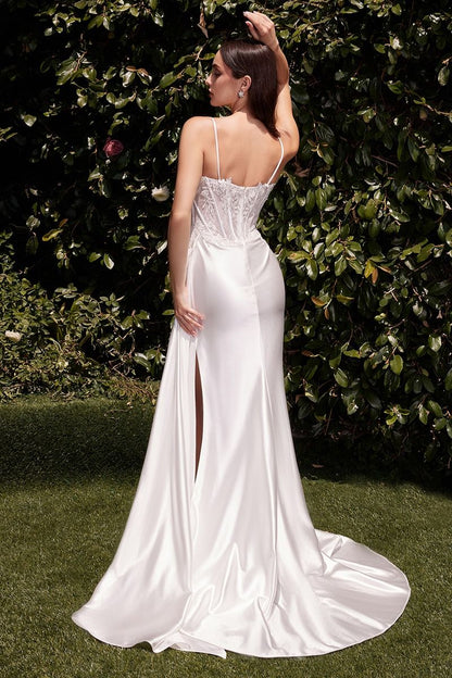 CD868 - Ladivine By Cinderella Divine Dress