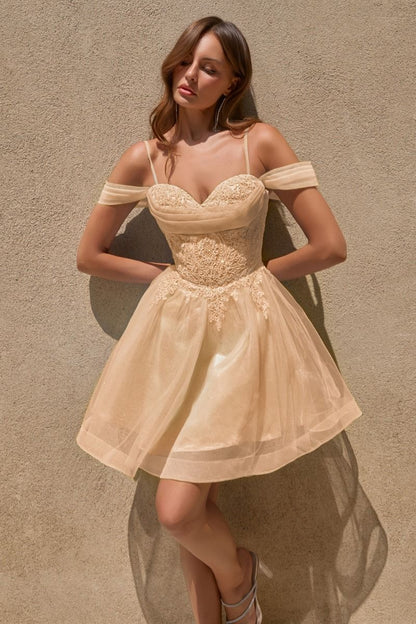 CY024 - Ladivine By Cinderella Divine Dress