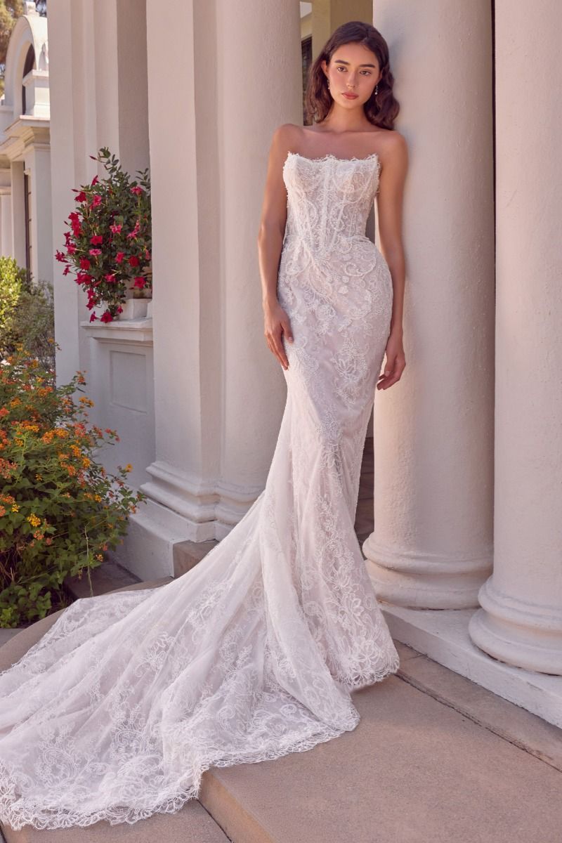 WL080 - Andrea & Leo Dress